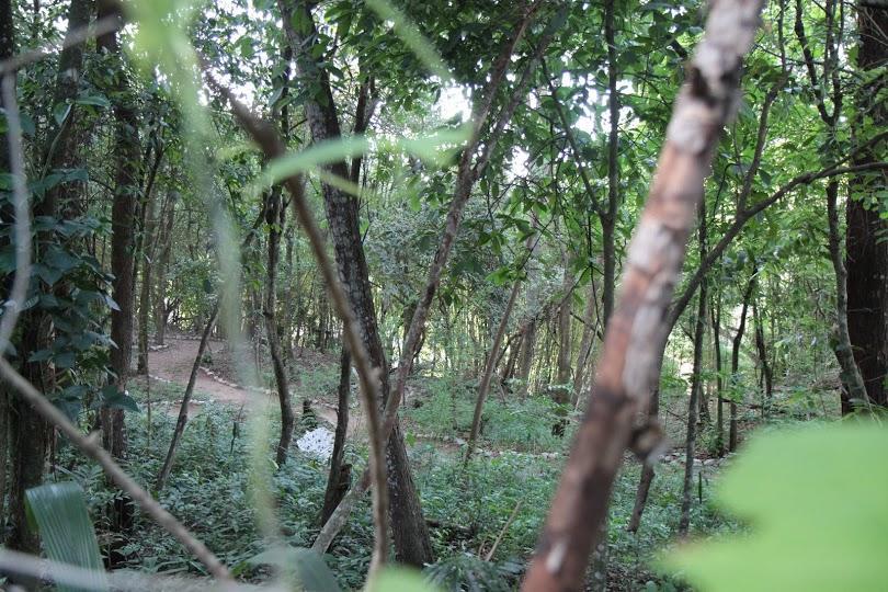 Hostel E Pousada Recanto Do Rio Brumadinho Exteriör bild